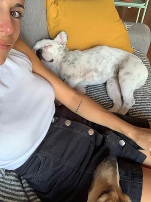 Moka y Milka descansando