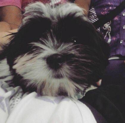 Sus miradas me llenan de amor