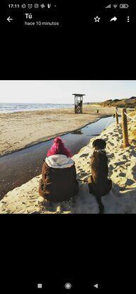 Paseo por la playa.