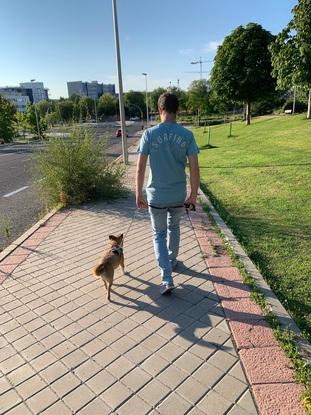 Mi novio paseando a Berni