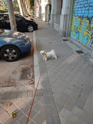 De paseo con Lola