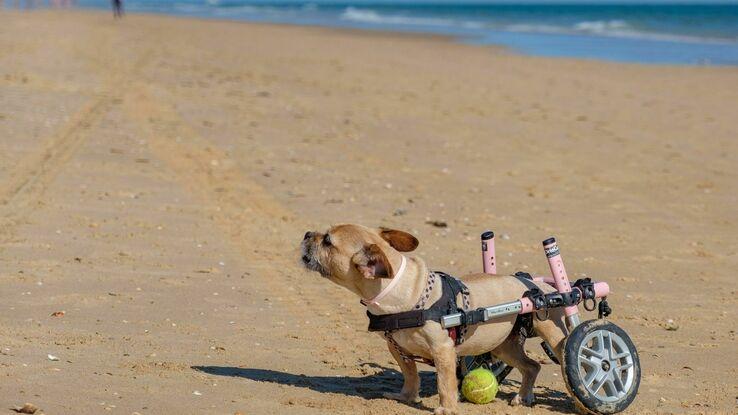 Aquí esta Nela disfrutando de la playa