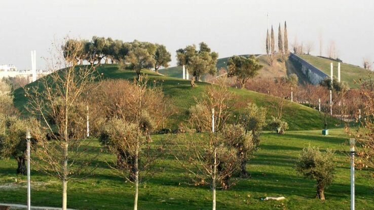 Mi parque Juan Carlos I