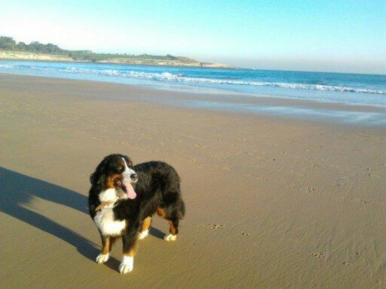 De paseo por la playa de El Sardinero