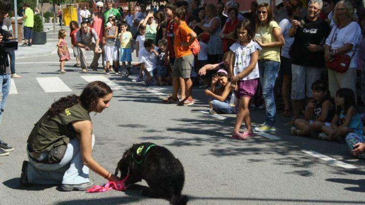 Desfile de la protectora de Mataró