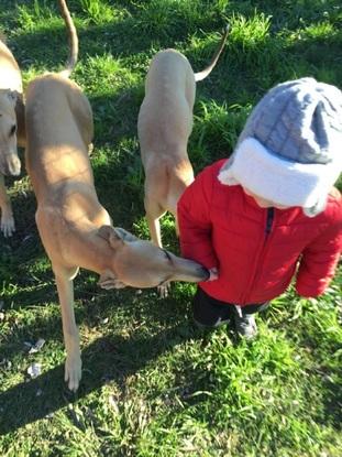 Los tres hermanos 🐕