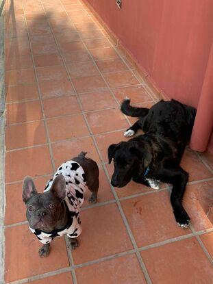 Coco y su amigo Paulo, al que cuido, de fiesta de pijamas