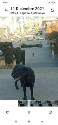 Greta y su paseo por Montjuic!!!