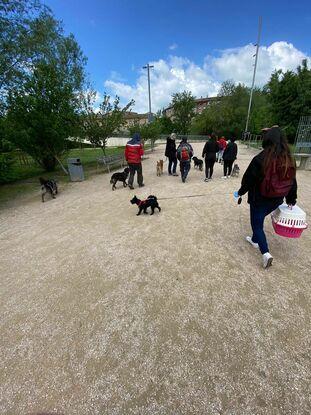 Paseos en conjunto