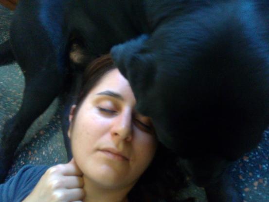 Blacky, un labfrador muy amoroso
