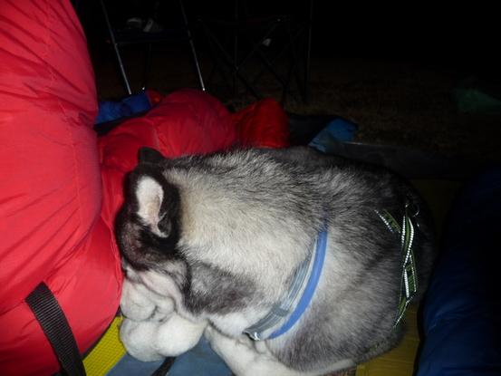 con los sacos de dormir en la montaña, él feliz, y yo más!