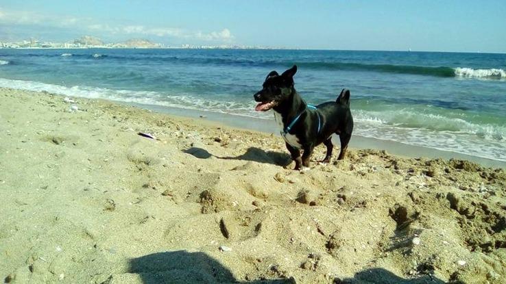 Kimbo en la playita