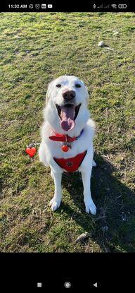 Nana feliz con su paseo