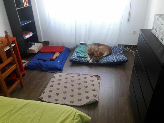 Habitación guardería