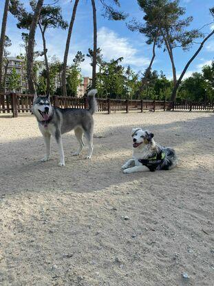 Pipican parque el Calero