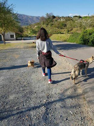 Luna y Rocky