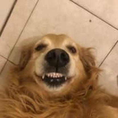 Molly