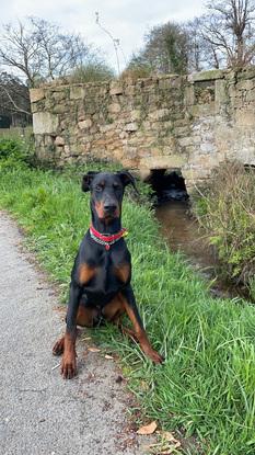 Eros posando