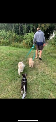 Heidi, Phoebe and Cooper