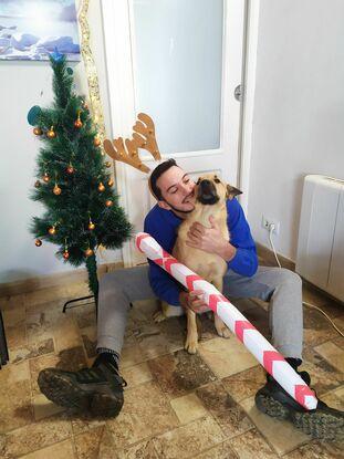 Mi perro Nei, se lleva bien con todos