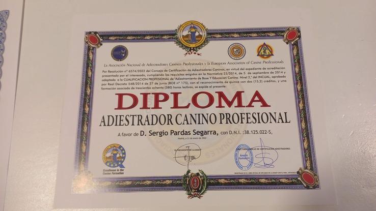 Diploma