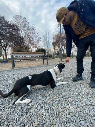 Aprendiendo el tumbado