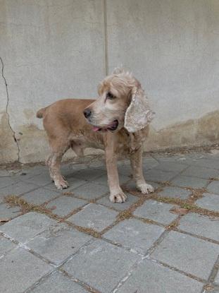 Estrenando corte de pelo