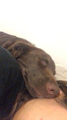 Milka
