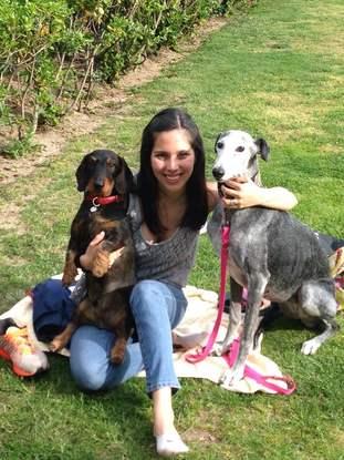 Con Leo (teckel) y Bimba (galgo) los cuide juntos y les encantaba salir a correr.