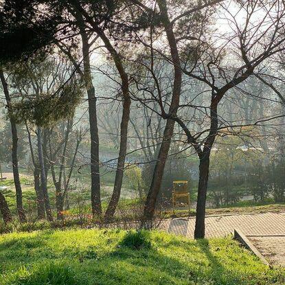 Parque de los pinos