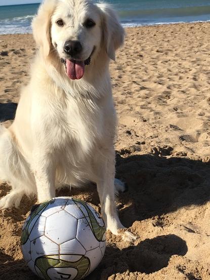 Syra en la playa