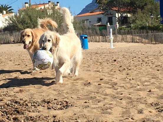 Syra y Noah jugando 