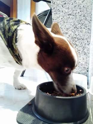 A comerrrrrrr!!!