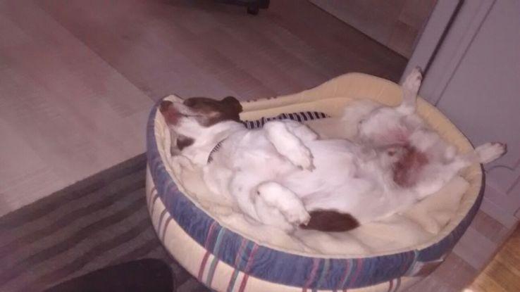 Zzzzzzzzzz