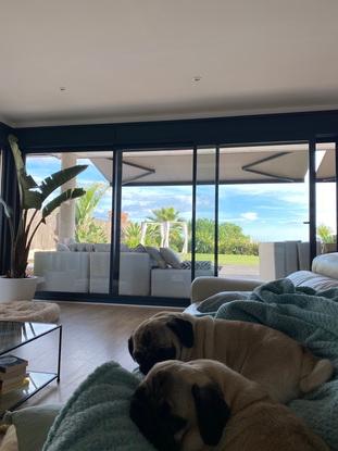 Siesta time