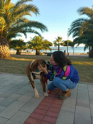 Paseando a Hoop