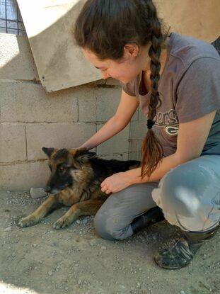 Con Asia, perrita de refugio