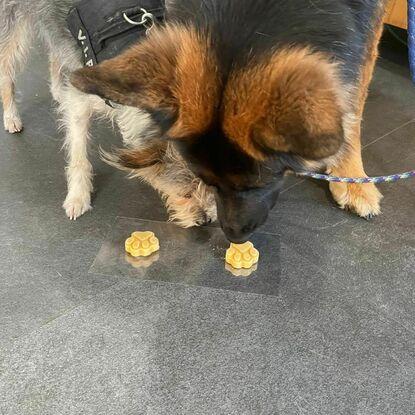 Clientes de helado