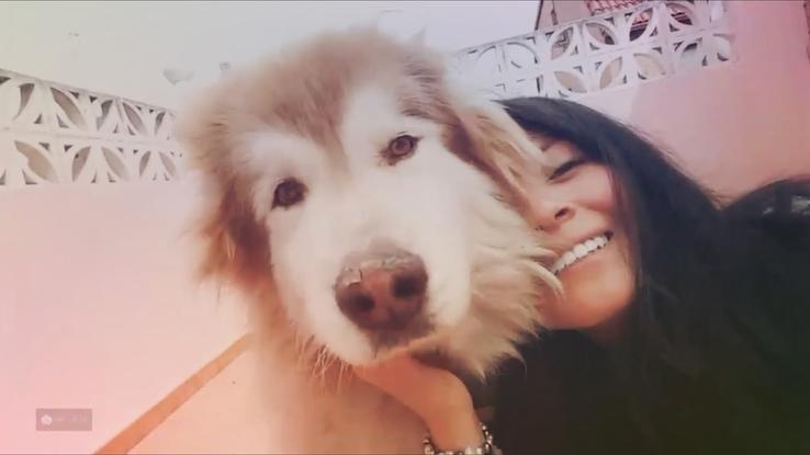 Zaskar, es el perro de unos primos, tenemos casi la misma edad 🐶💕