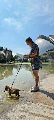 El Turia es hermoso para llevar a perros a pasear