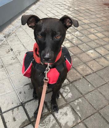 La mochila para un día más tranquilo