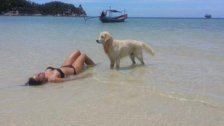 Bowie en la playa