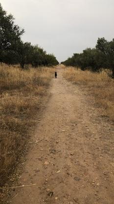 Al lado de  casa de paseito por el campo