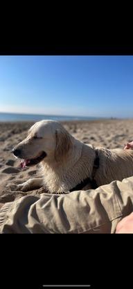 Nos encanta ir a la playa :)