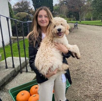 Soda the labradoodle puppy ☺️