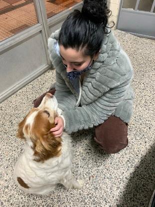 Sara conociendo a perro 🥰