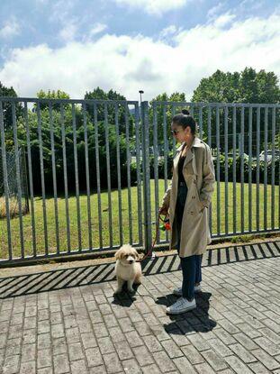 Tobby estuvo de paseo durante su estadía