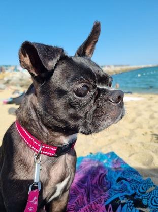 Primera vez en la playa