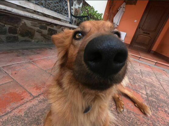 Egur