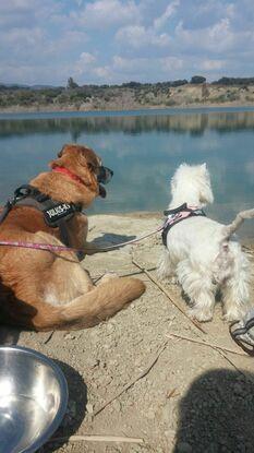 Con Noel en el lago azul